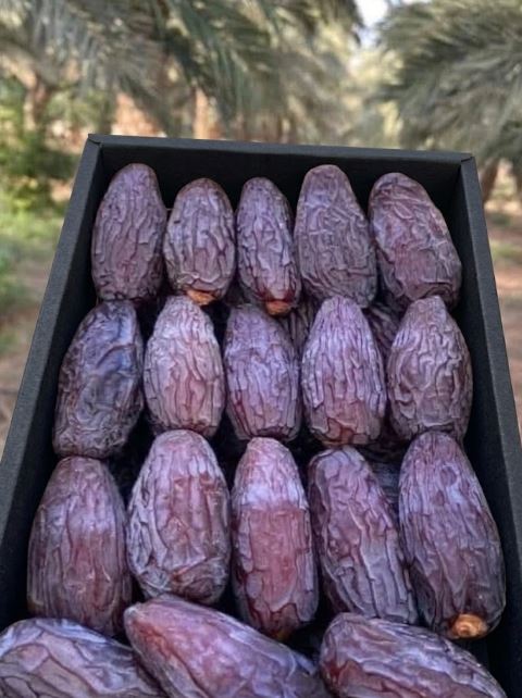 Medjool Dates (Medium) 1kg